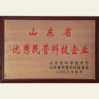 山東省優(yōu)秀民營科技企業(yè)