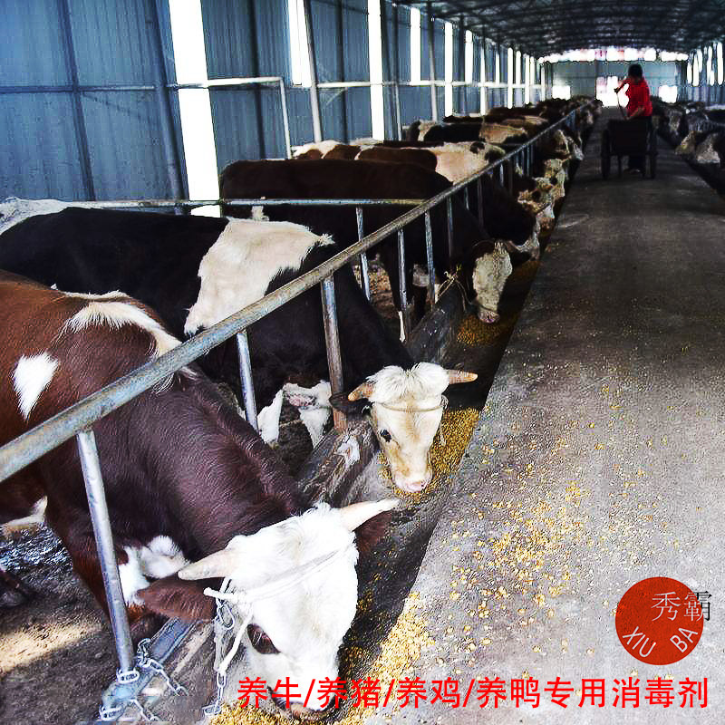 二氧化氯消毒粉【畜牧養(yǎng)殖】產品展示圖3