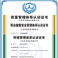 ISO質(zhì)量體系認(rèn)證