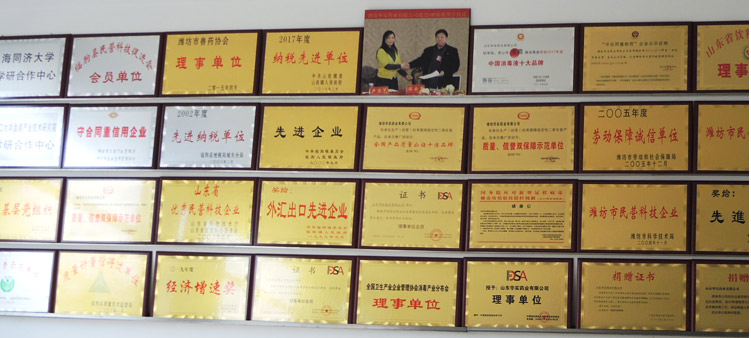 山東華實藥業(yè)公司資質(zhì)證書