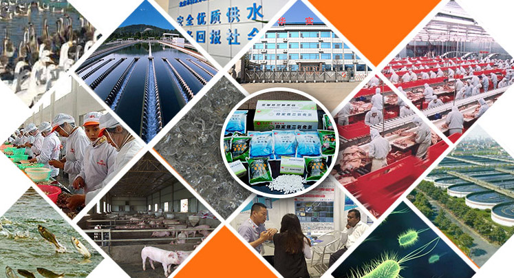 山東華實藥業(yè)公司秀霸二氧化氯消毒劑的應(yīng)用領(lǐng)域